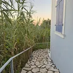 Artemis Villa